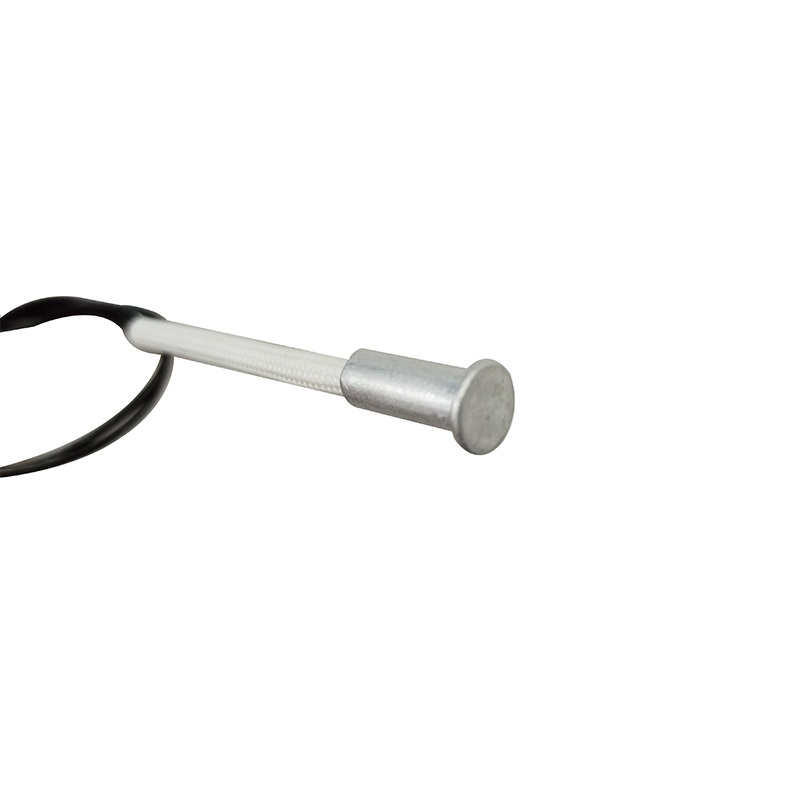 Strong structure high reliability temperature sensor for oven